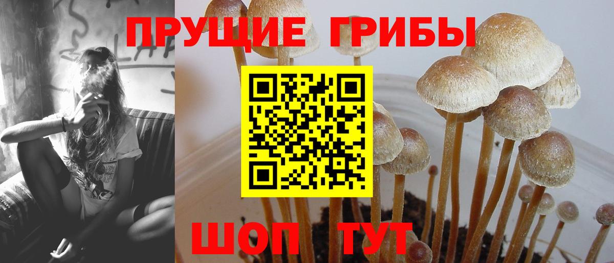 Псилоцибиновые грибы ЛСД  Вход с VPN  Первоуральск  Галлюциногенные грибы Psilocybine cubensis 